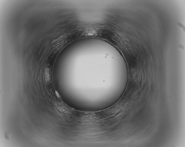 X0000098051442200804071455