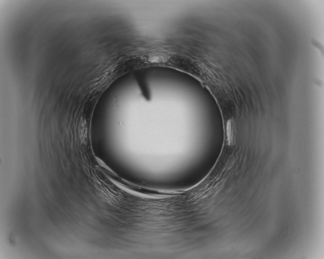 X0000098051443200804071455