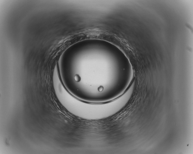 X0000098051445200804071455