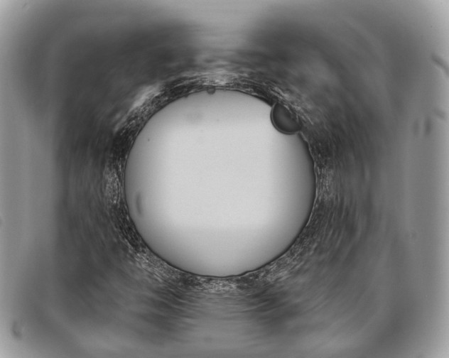 X0000098051446200804071455