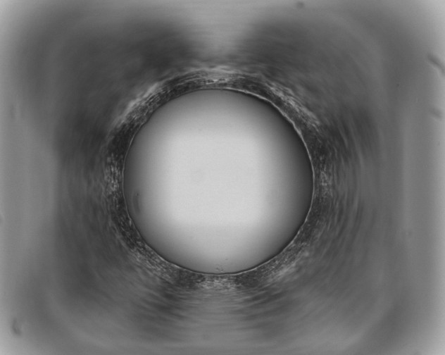 X0000098051447200804071455