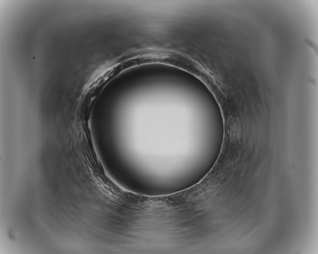 X0000098051448200804071455