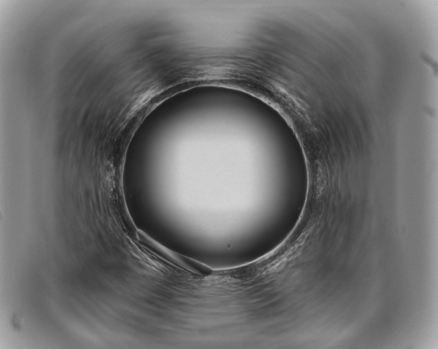 X0000098051449200804071455