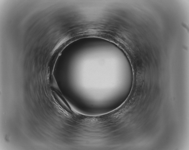 X0000098051450200804071455
