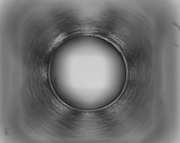 X0000098051451200804071455