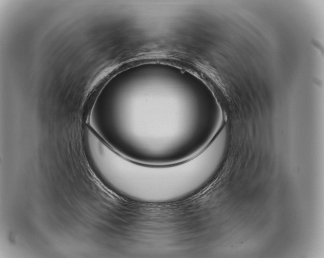 X0000098051452200804071455