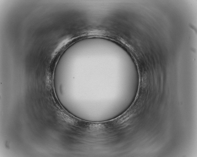 X0000098051454200804071455