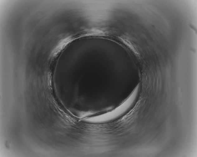 X0000098051455200804071455