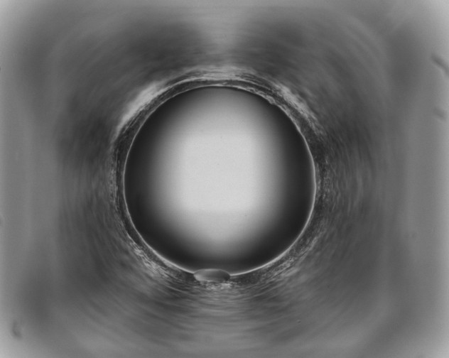 X0000098051456200804071455