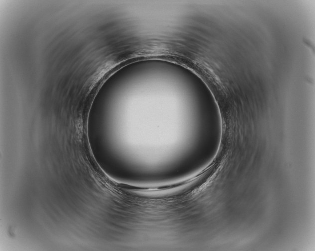 X0000098051457200804071455
