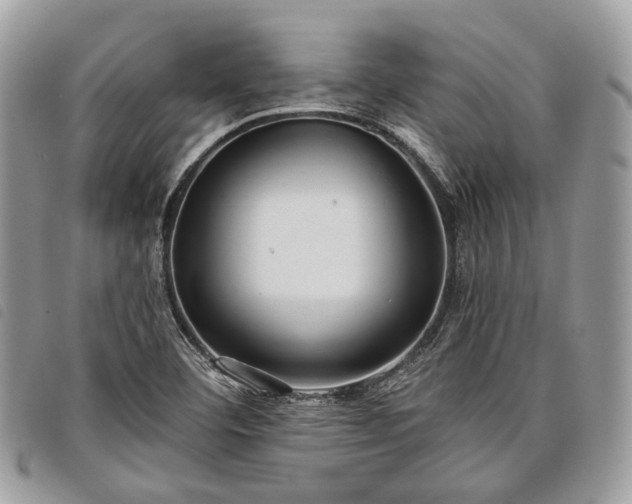 X0000098051460200804071455