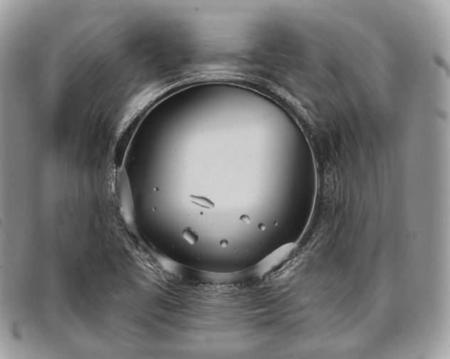 X0000098051461200804071455