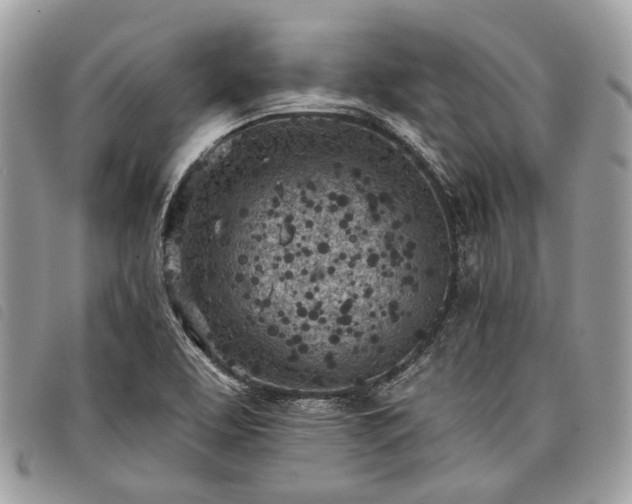 X0000098051463200804071455