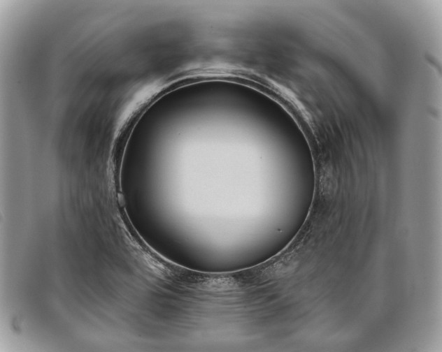 X0000098051464200804071455