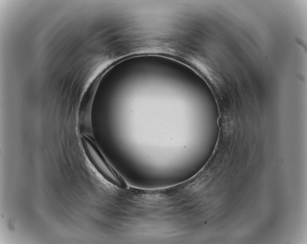 X0000098051468200804071455