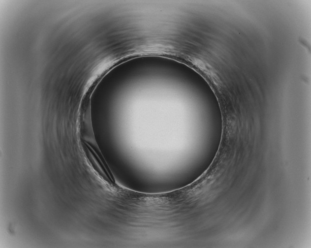 X0000098051469200804071455