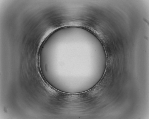 X0000098051470200804071455