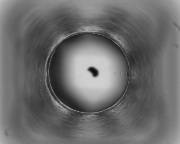 X0000098051471200804071455