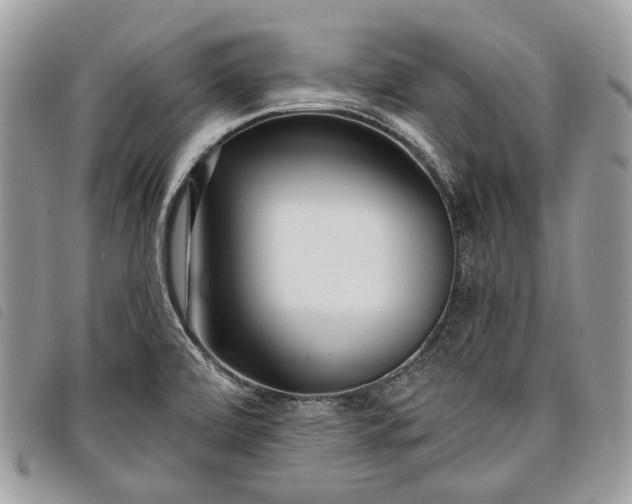 X0000098051472200804071455