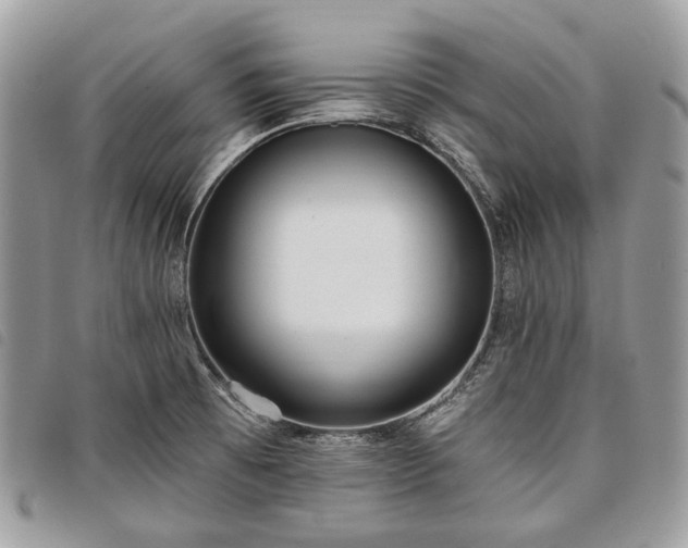 X0000098051473200804071455