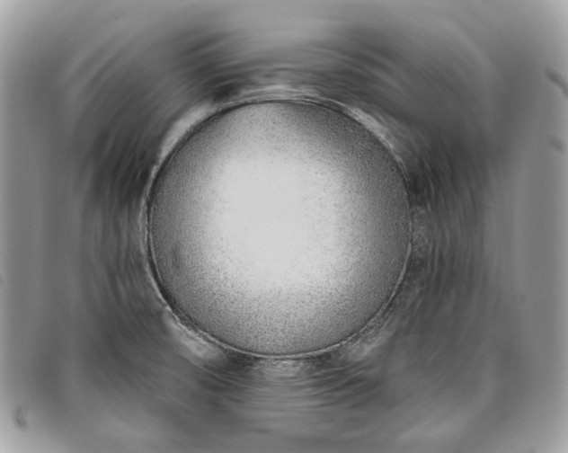 X0000098051474200804071455