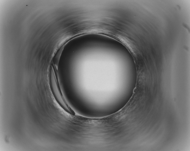 X0000098051476200804071455