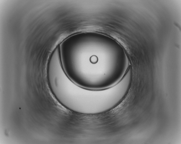 X0000098051477200804071455