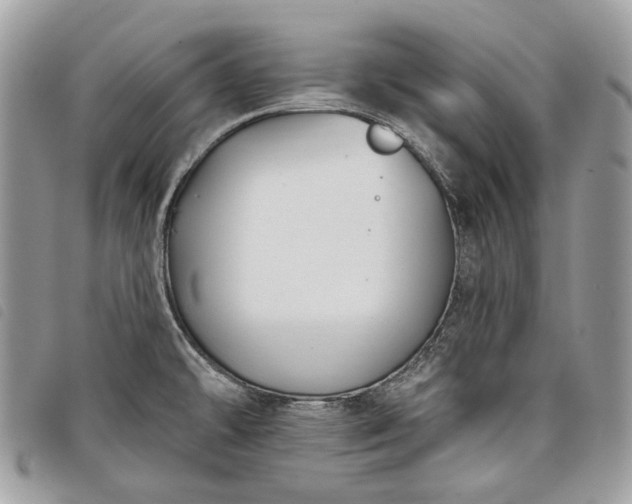 X0000098051478200804071455