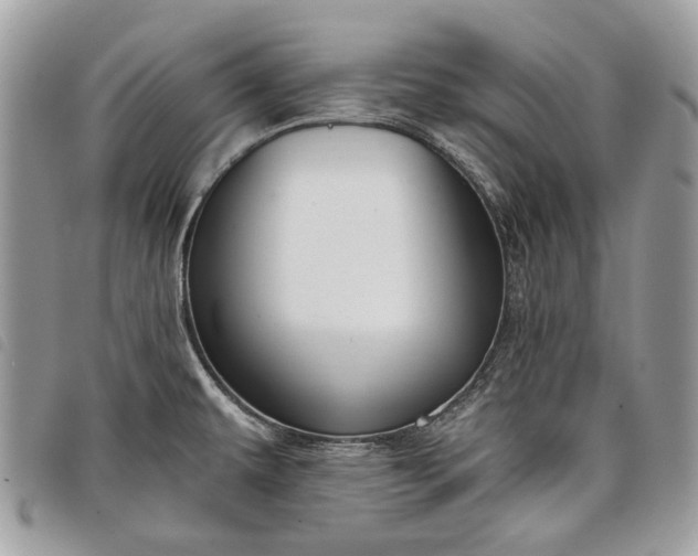 X0000098051479200804071455