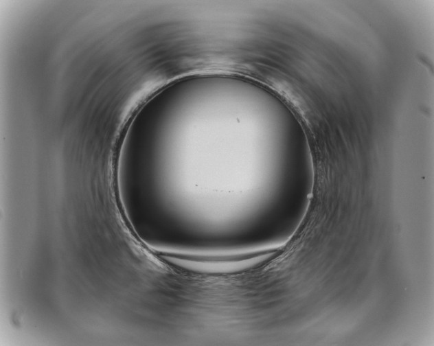 X0000098051480200804071455