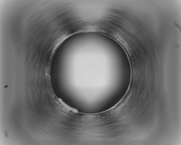 X0000098051481200804071455