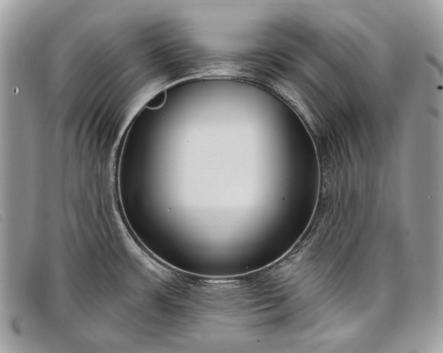 X0000098051483200804071455