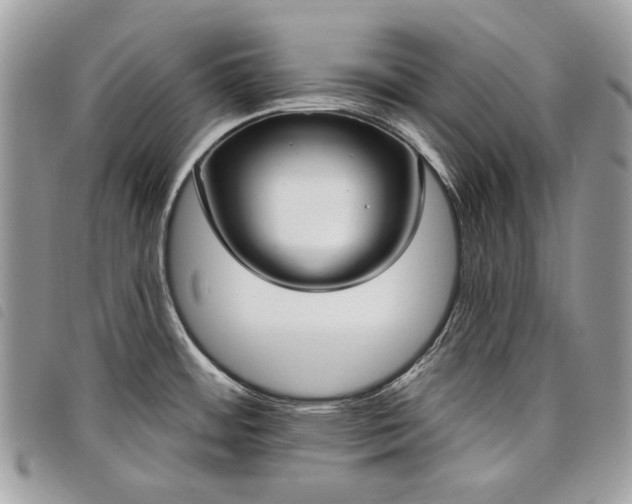 X0000098051484200804071455