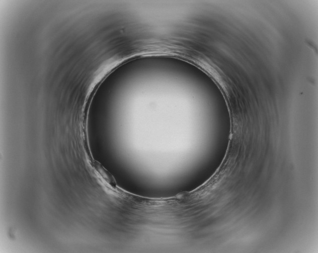 X0000098051485200804071455