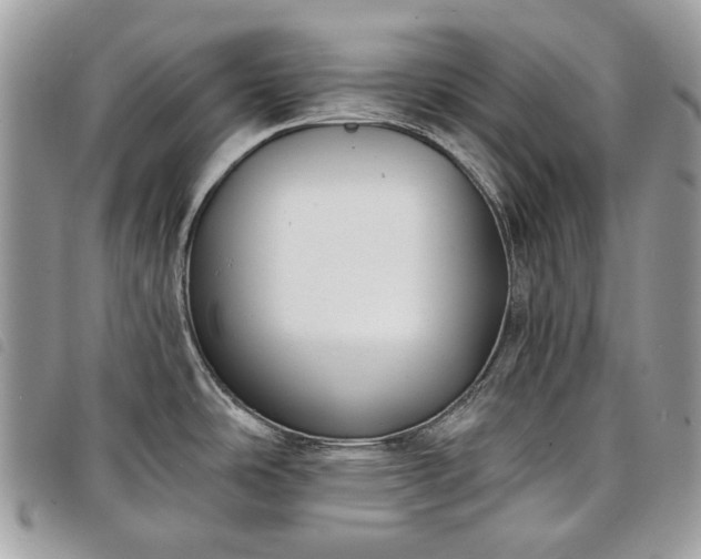 X0000098051486200804071455