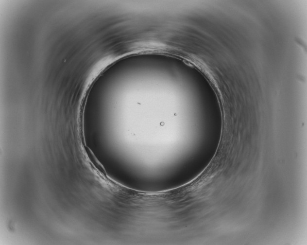 X0000098051488200804071455