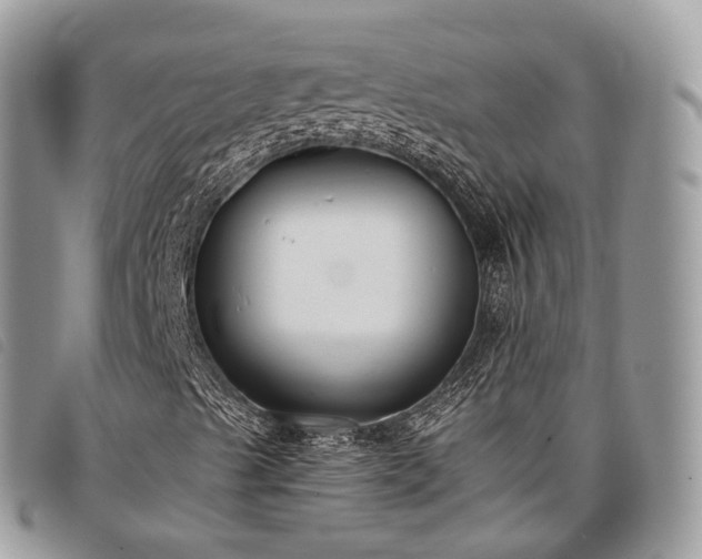 X0000098051489200804071453