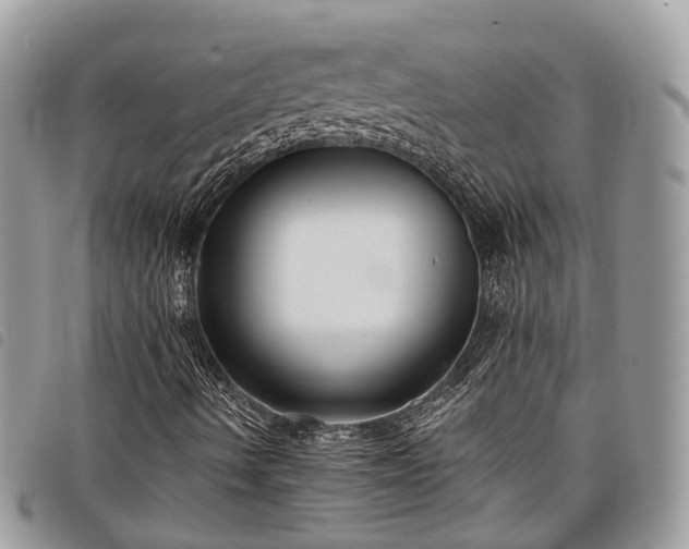 X0000098051490200804071453