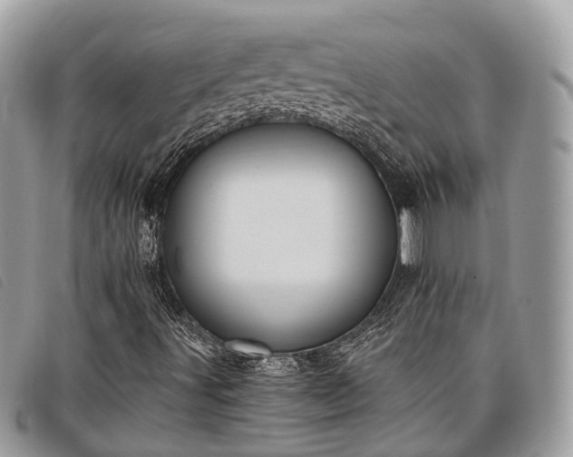 X0000098051491200804071453