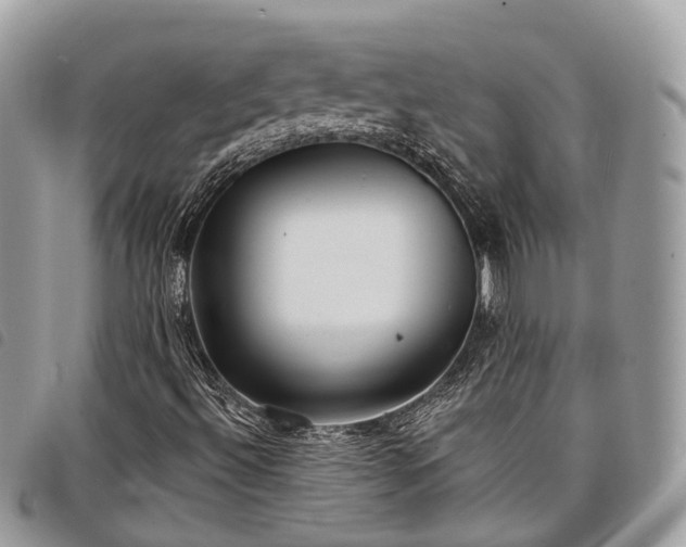 X0000098051492200804071453