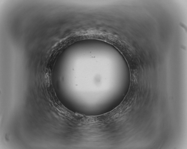 X0000098051493200804071453