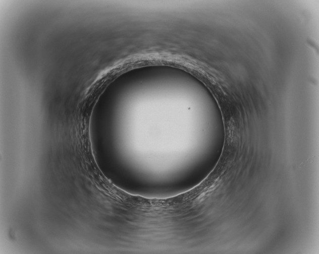 X0000098051494200804071453