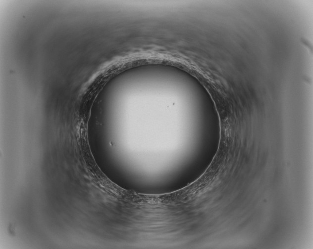 X0000098051495200804071454