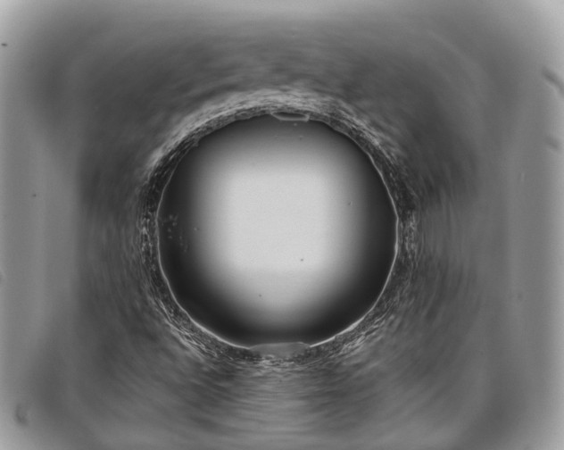 X0000098051496200804071454