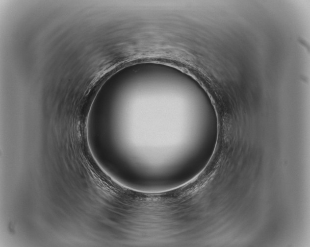 X0000098051497200804071454