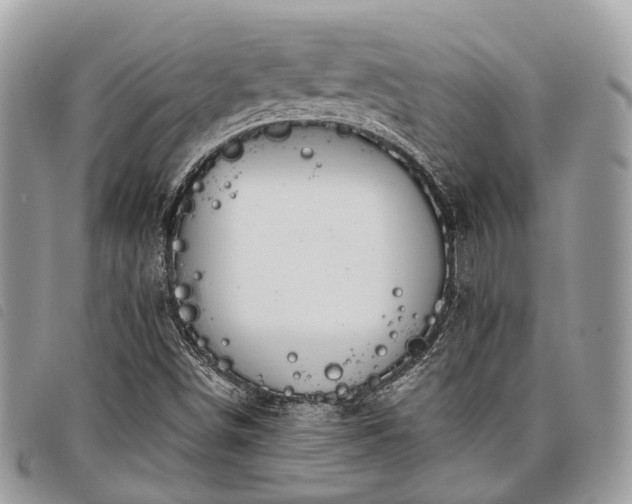 X0000098051498200804071454