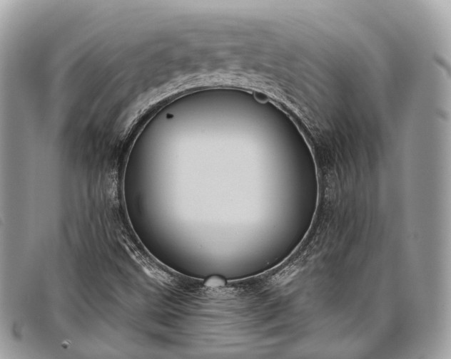 X0000098051499200804071454