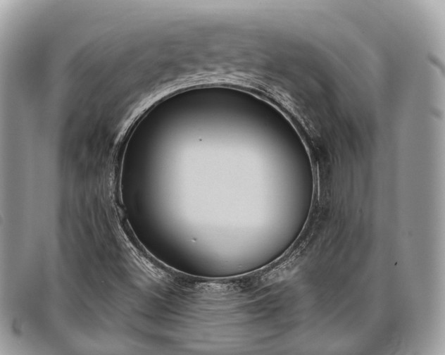 X0000098051500200804071454