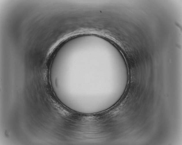 X0000098051502200804071454