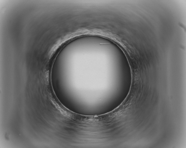 X0000098051503200804071454